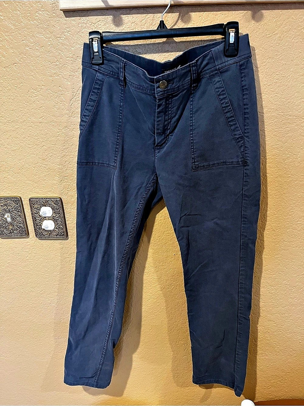 TOAD&CO Earthworks Ankle Pant Blue Size 4